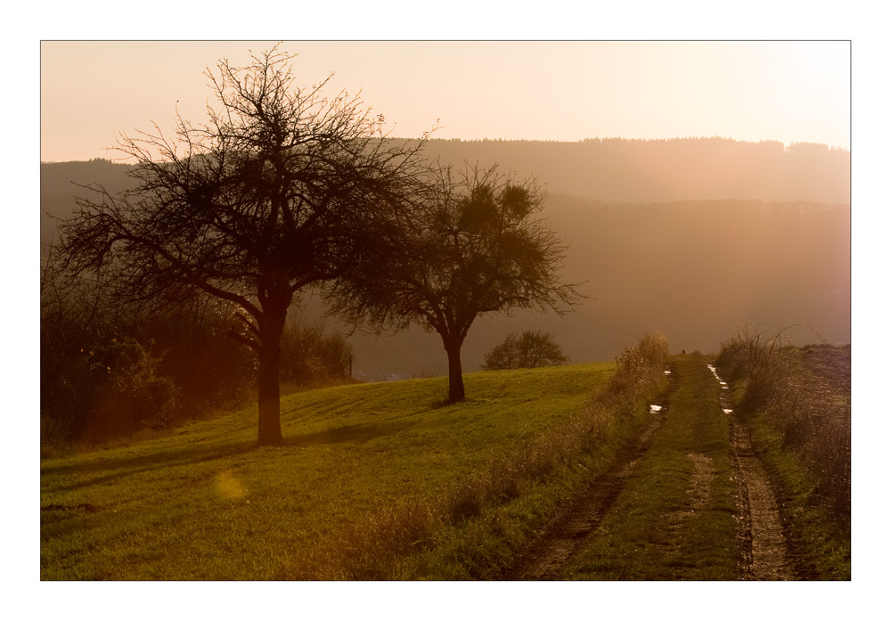 Herbstlicht