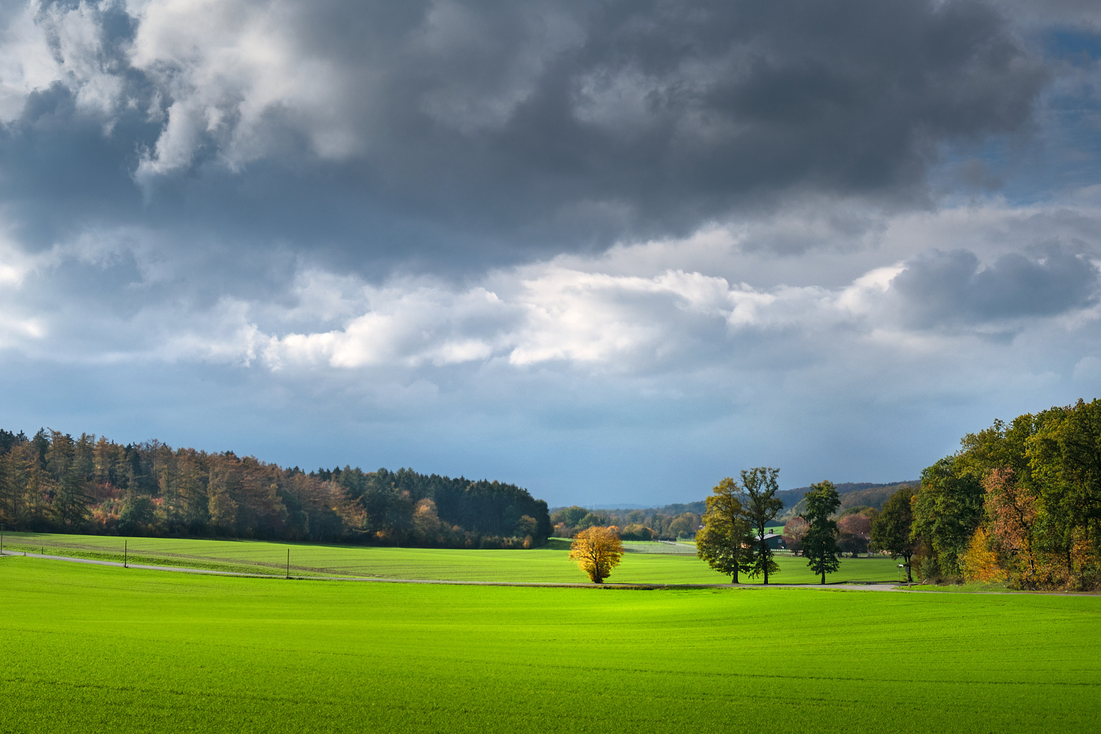 Herbstlicht