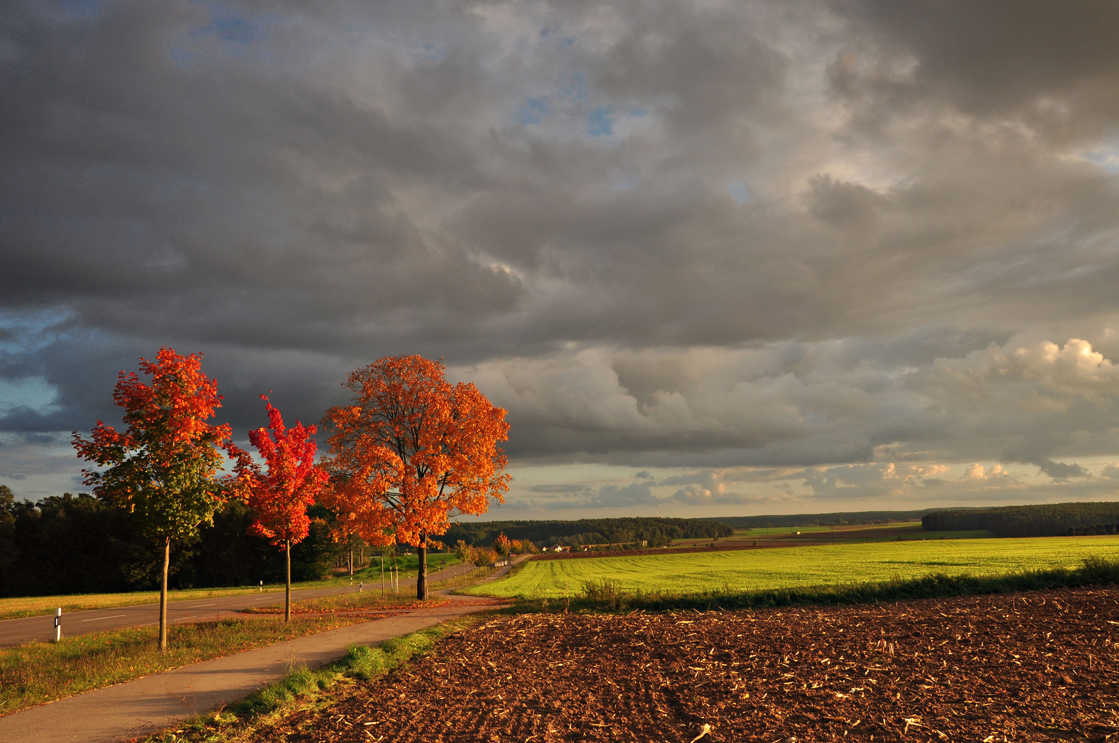 HERBSTLICH(T)