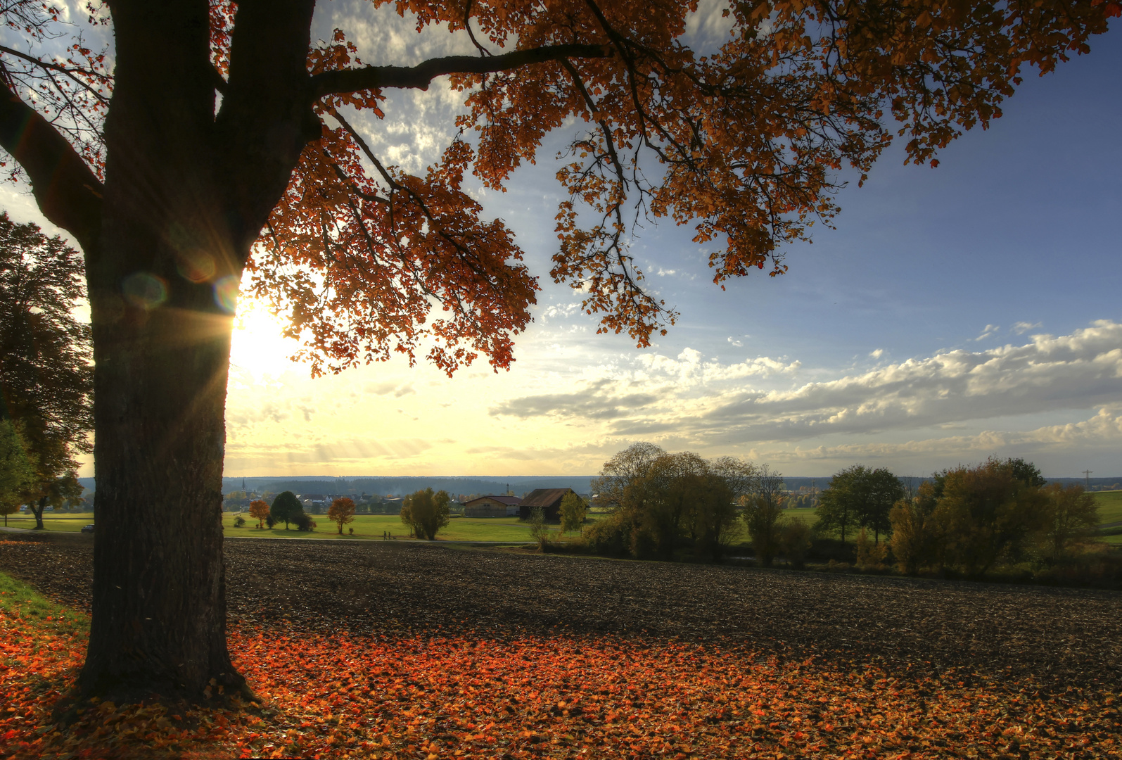 Herbstlicht