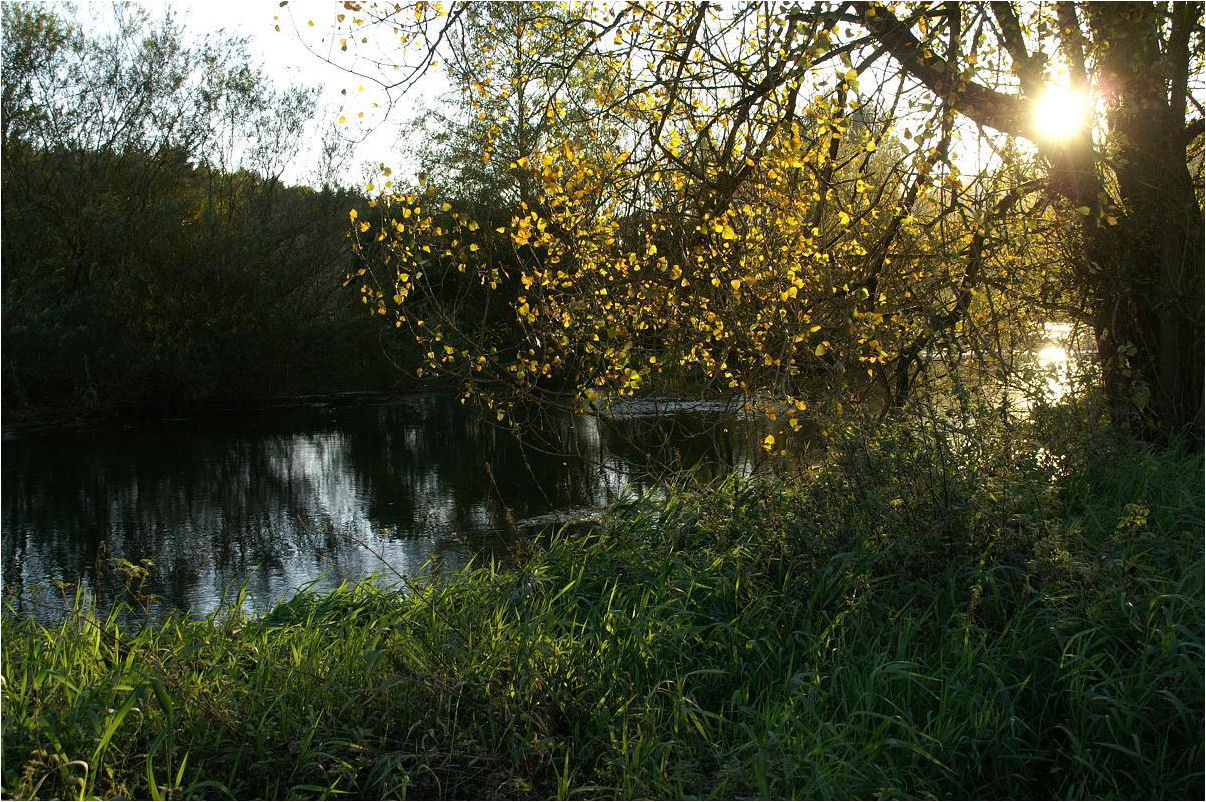 Herbstlicht