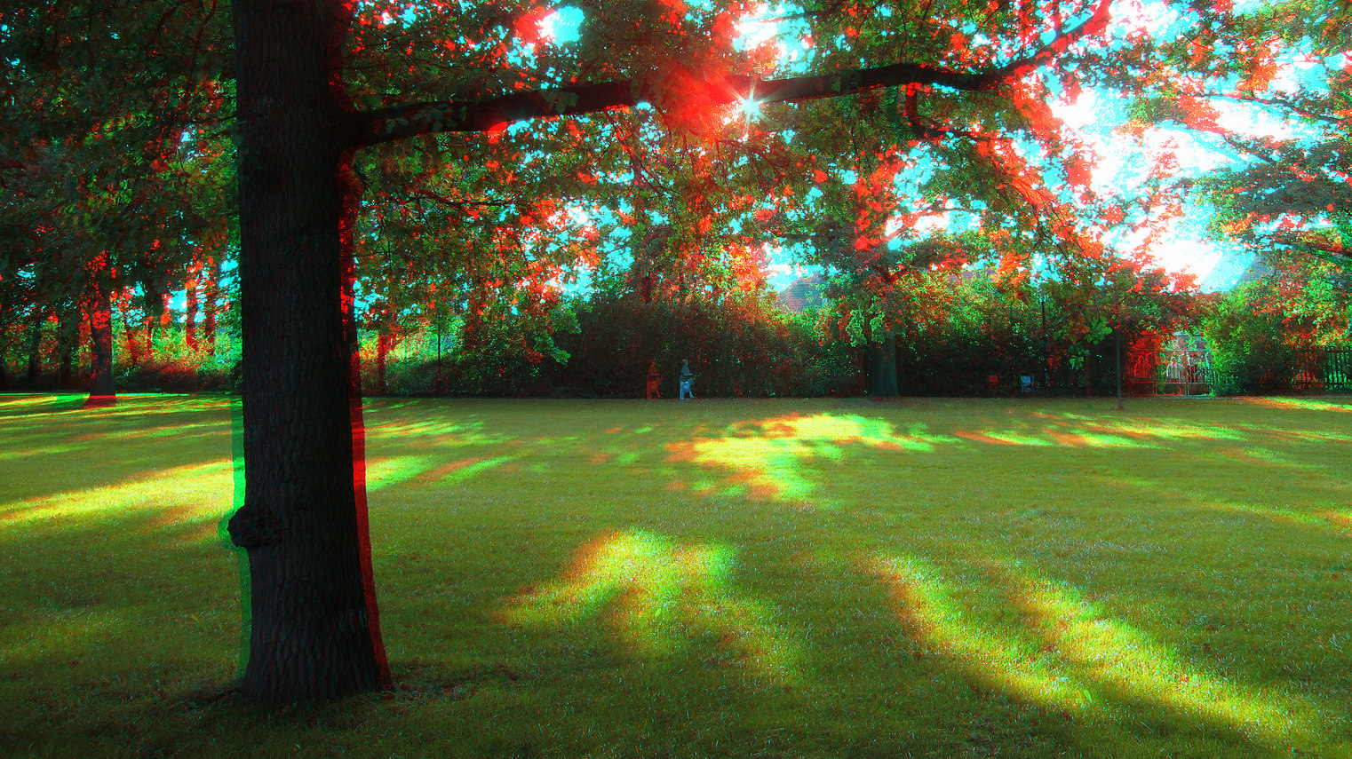 Herbstlicht (3D-Foto)