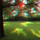 Herbstlicht (3D-Foto)