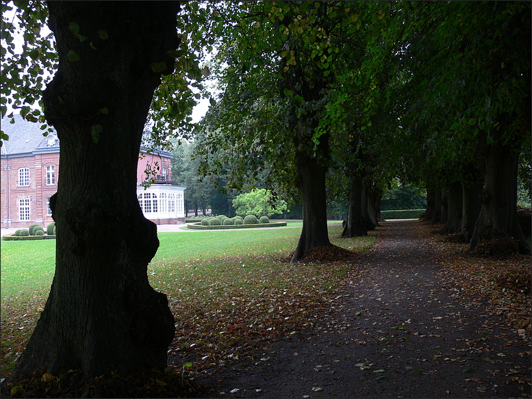 Herbstlich(t)...