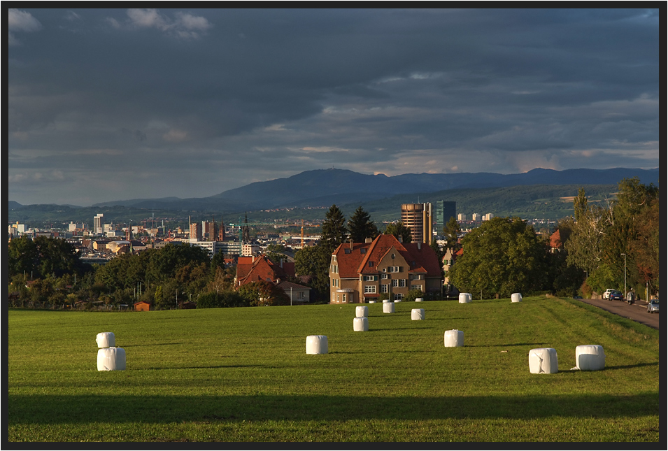 HERBSTLICHT