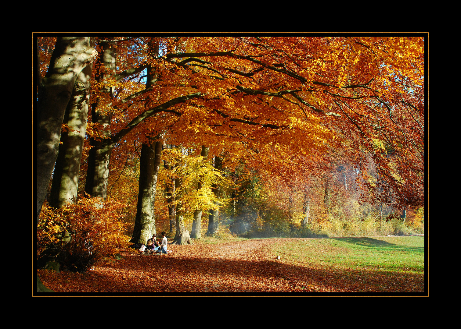 Herbstlich(t)