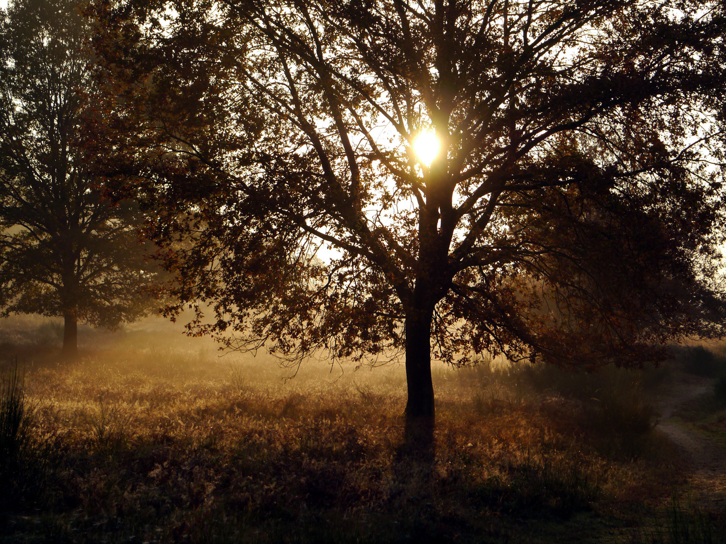 Herbstlicht