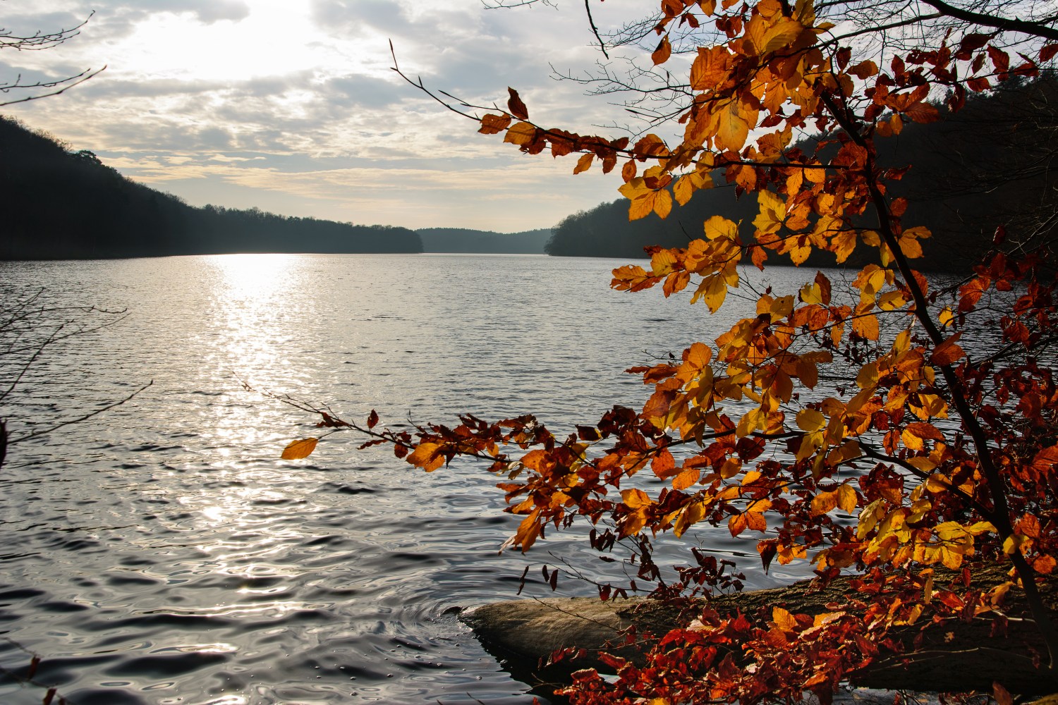 Herbstlicht