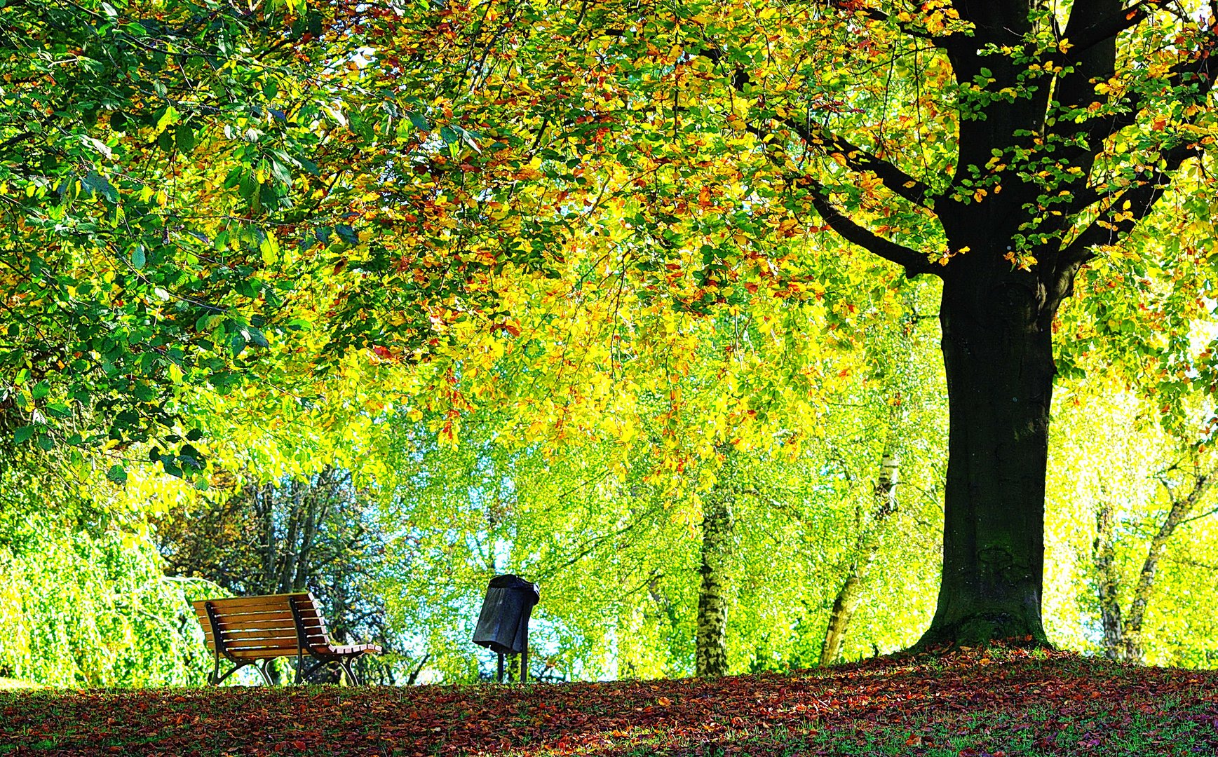 Herbstlicht.