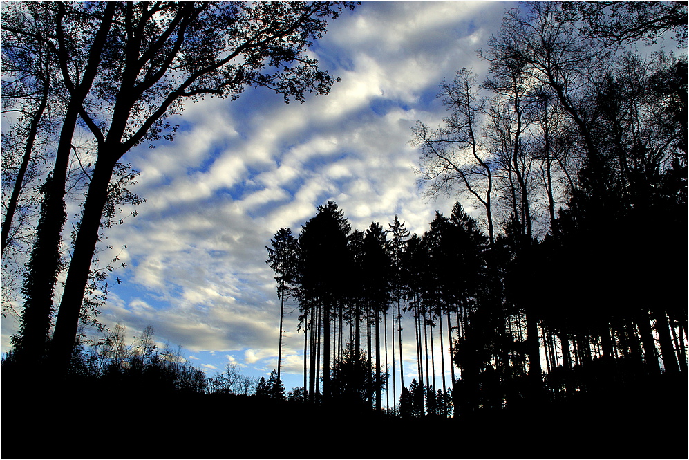 Herbstlicht