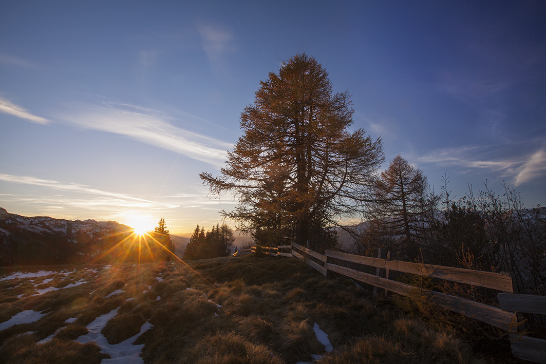 Herbstlicht