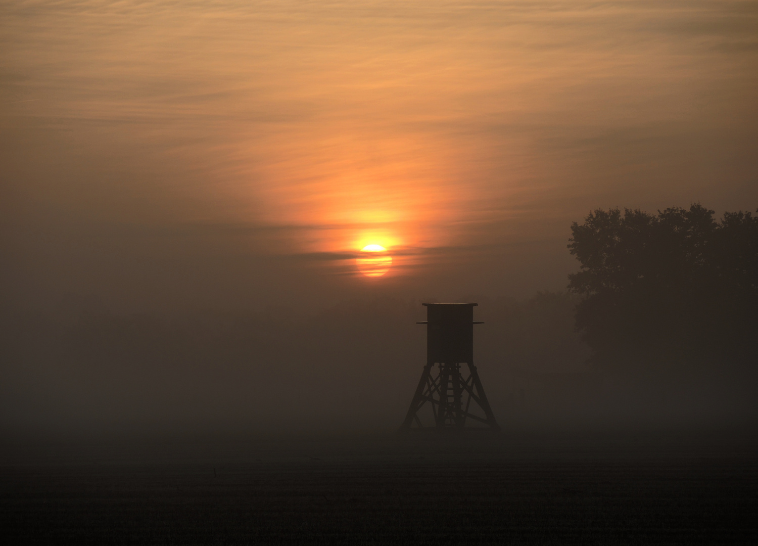 Herbstlicht