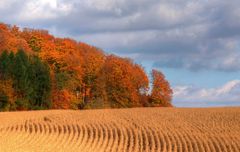 Herbstlicht