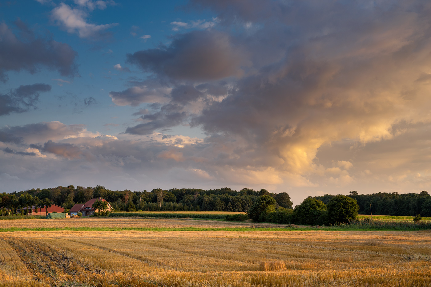 Herbstlicht