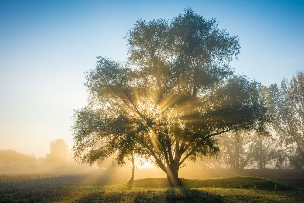 Herbstlicht