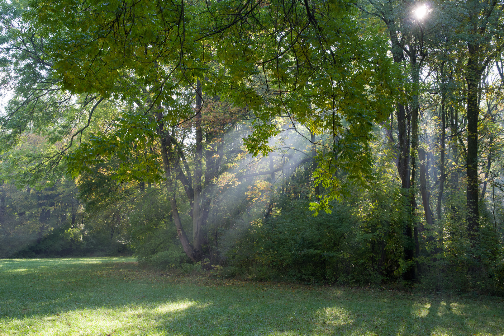 Herbstlicht