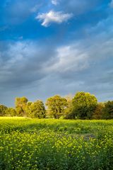 Herbstlicht