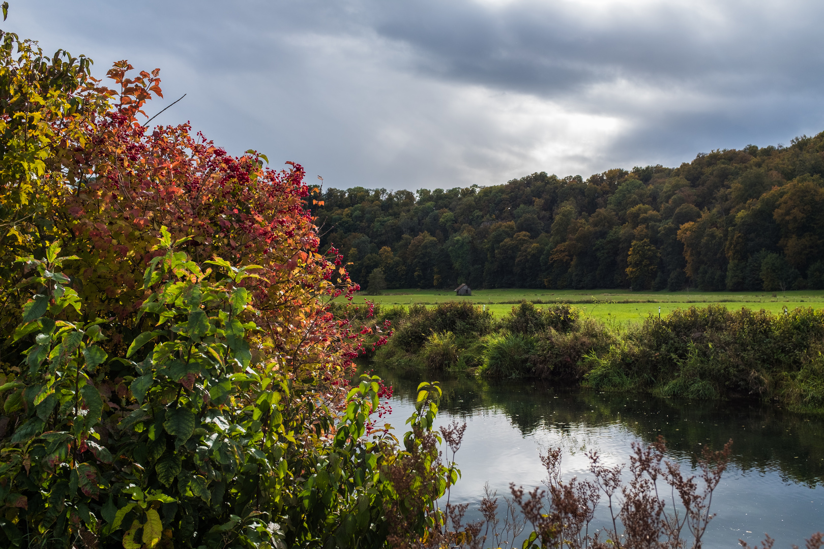 Herbstlicht