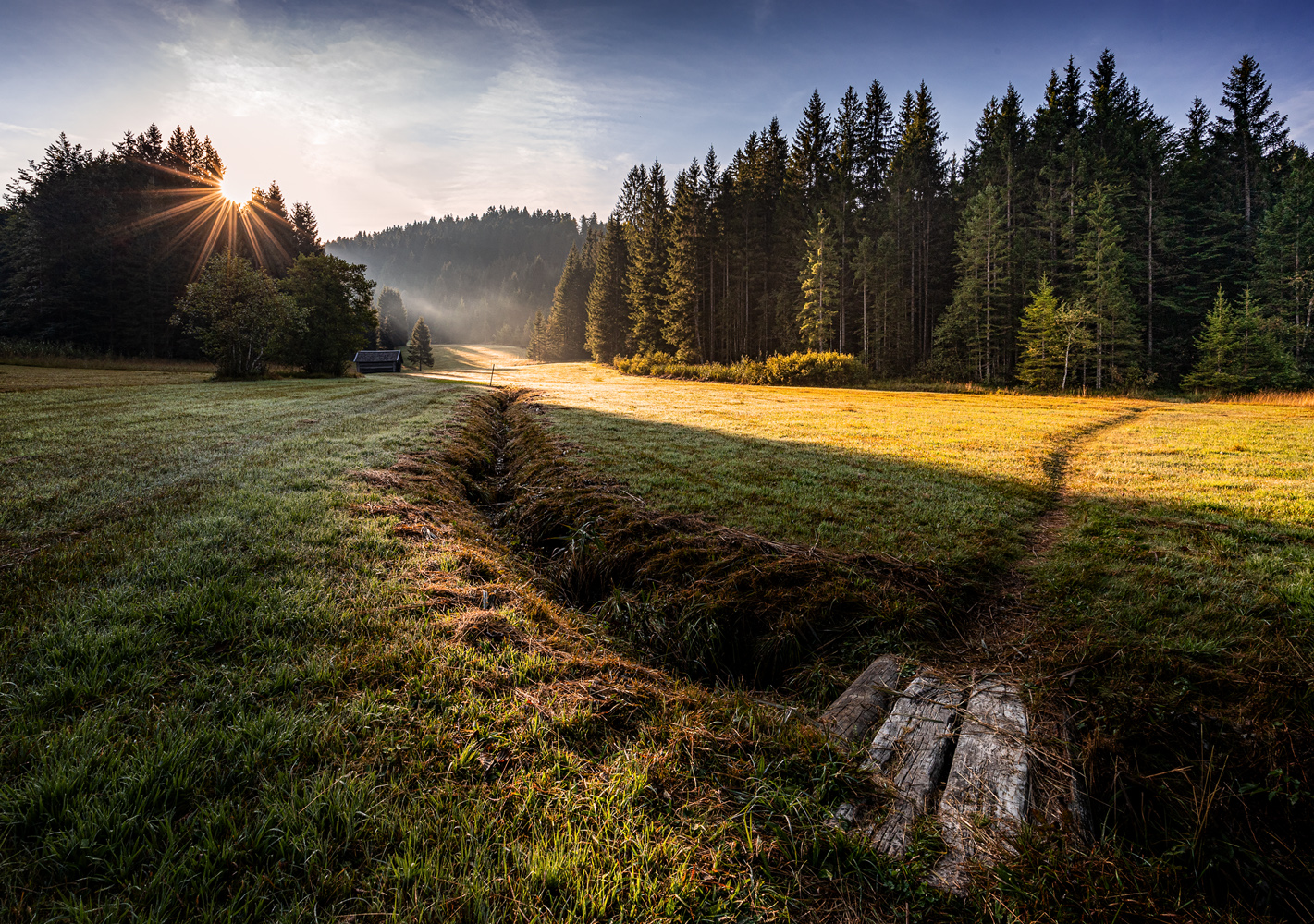 herbstlicht