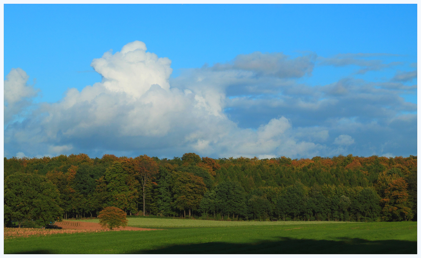 Herbstlich(t)