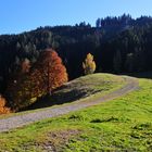 Herbstlicht