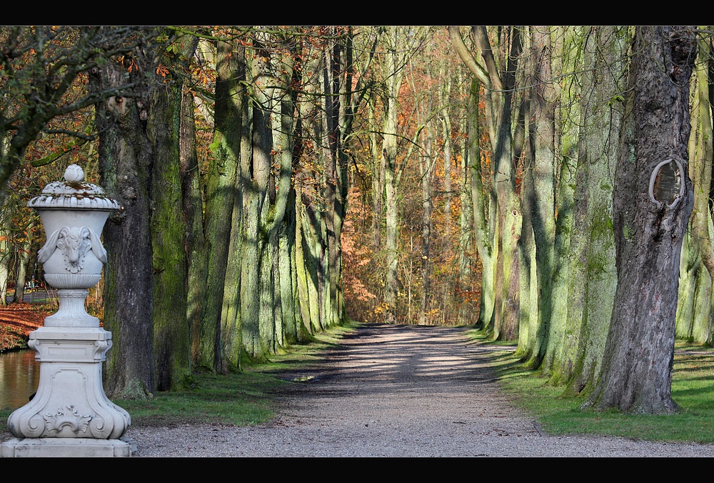 Herbstlicht