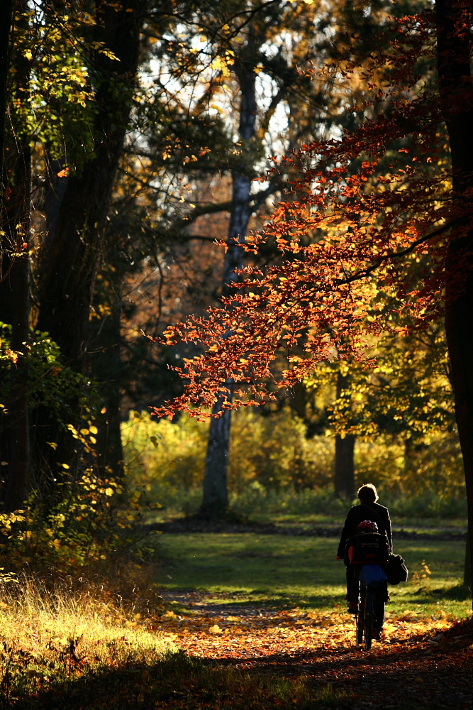 Herbstlicht