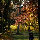 Herbstlicht