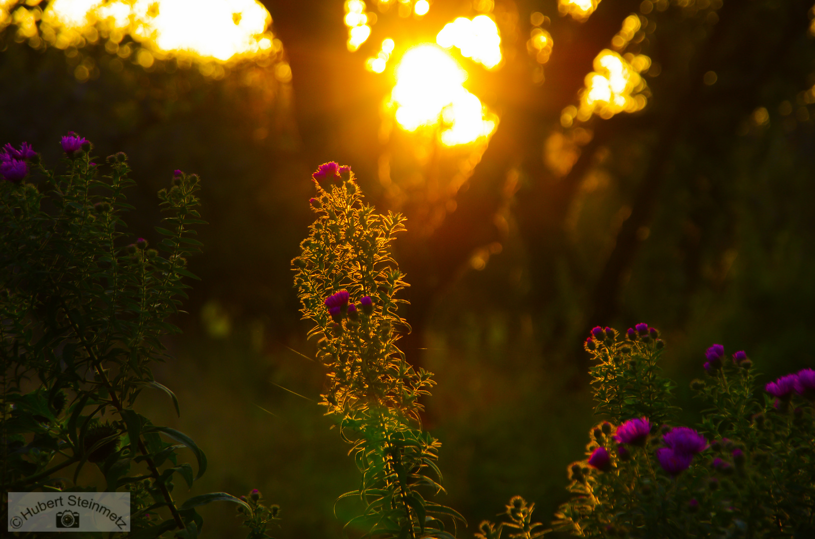 Herbstlicht