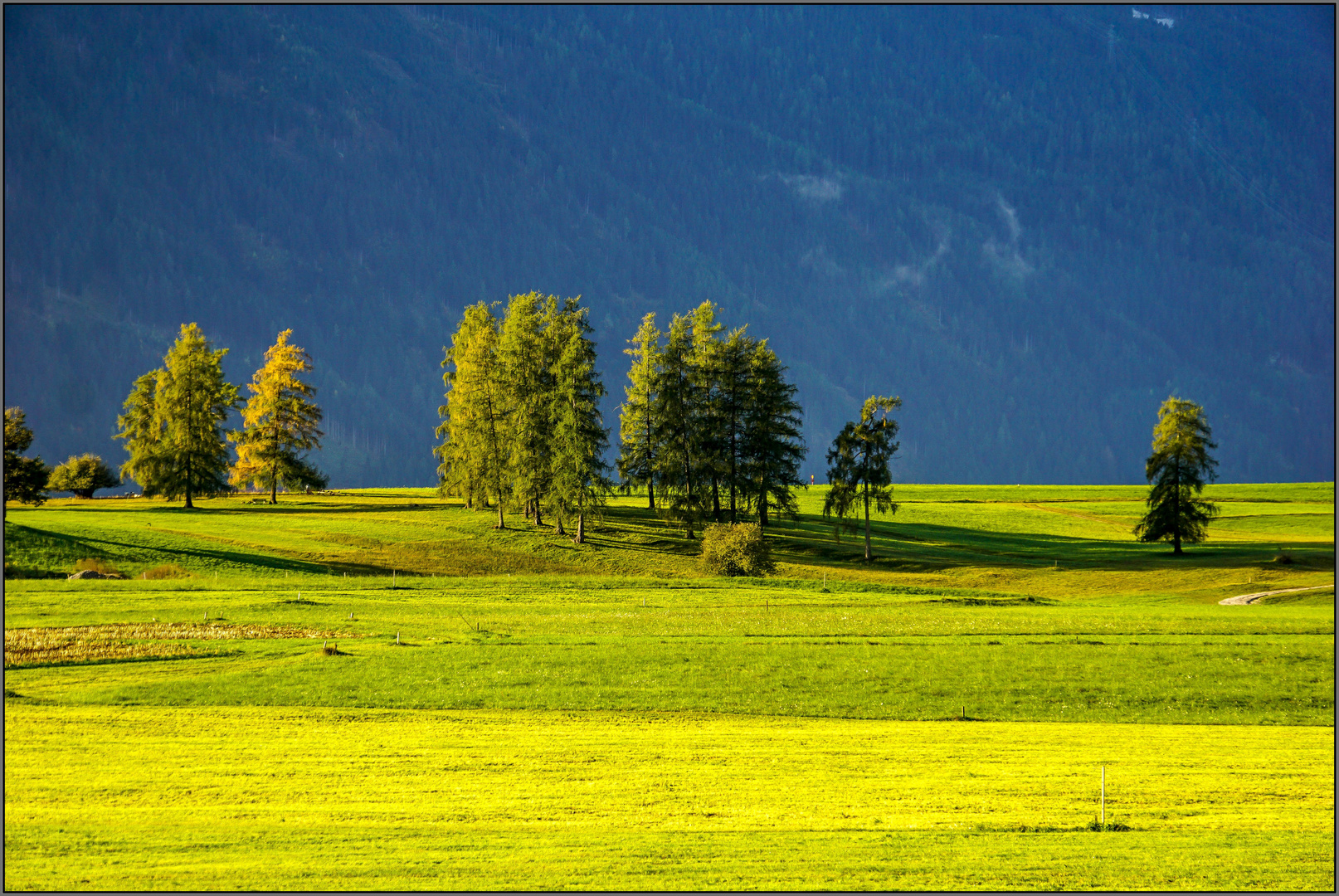 Herbstlicht