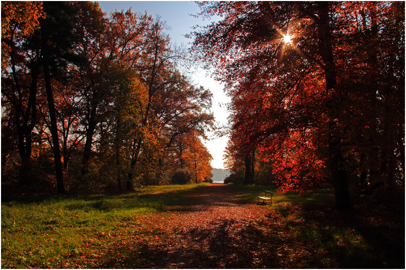 herbstlich(t)