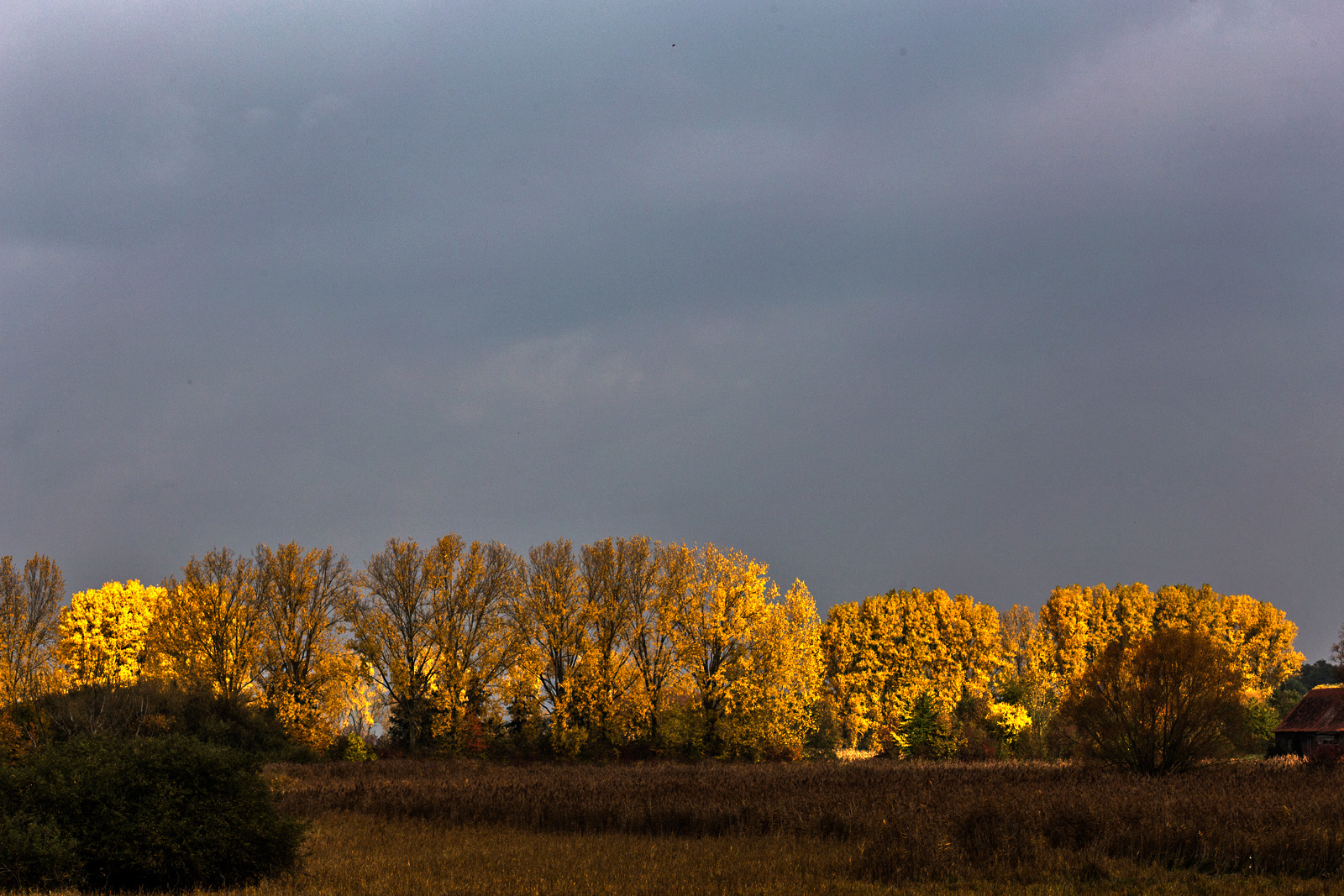 Herbstlicht