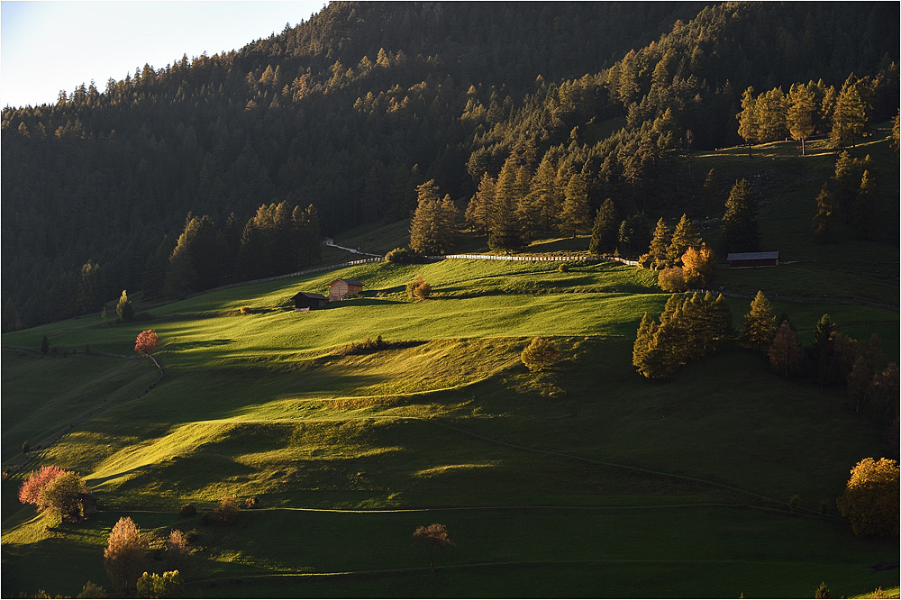 Herbstlicht