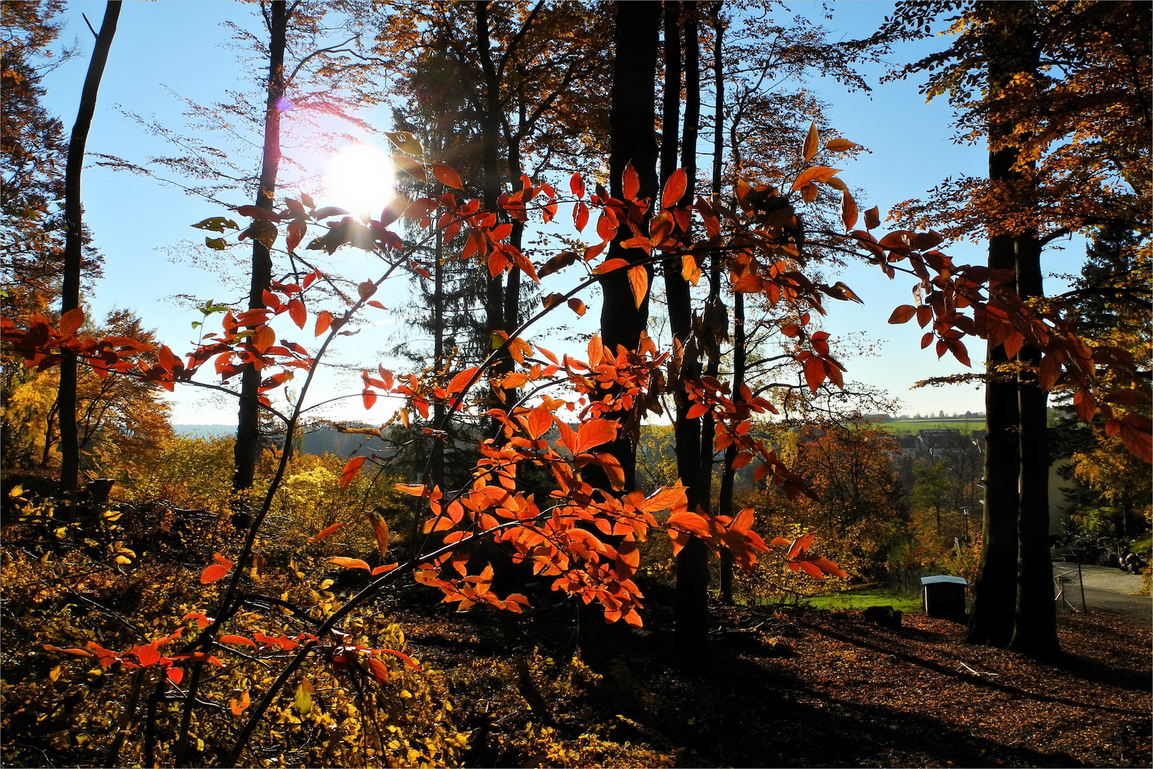 Herbstlicht