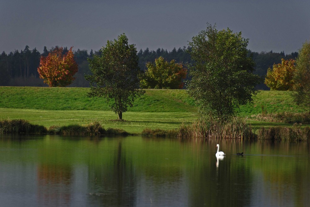 Herbstlicht