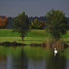 Herbstlicht