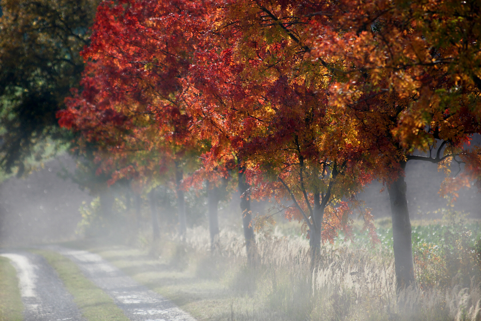 Herbstlicht