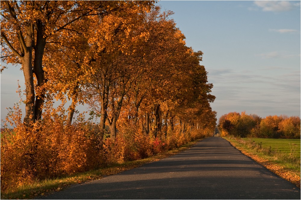 Herbstlicht ...