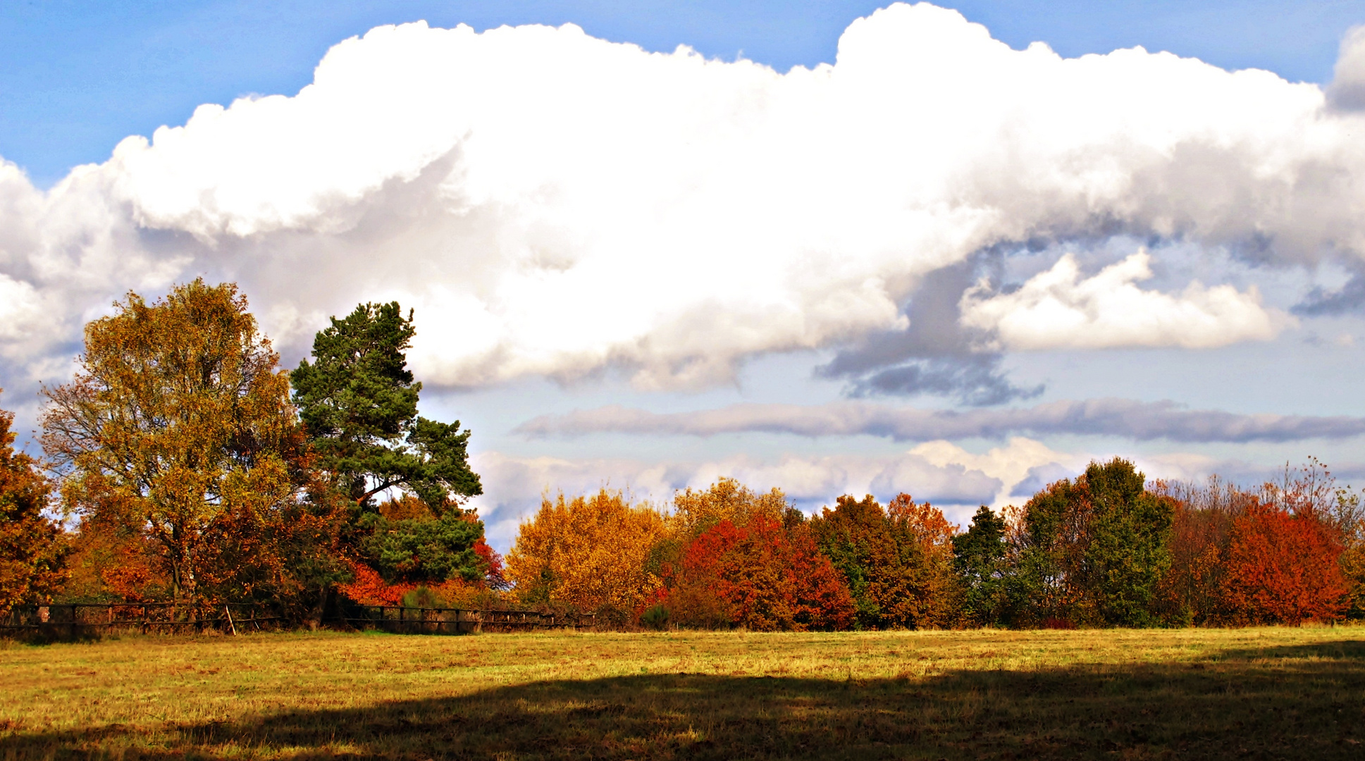 Herbstlicht