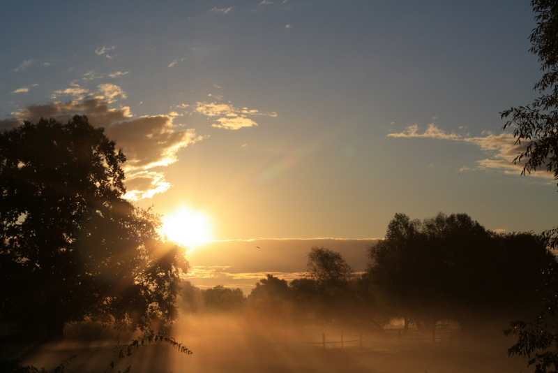 Herbstlicht