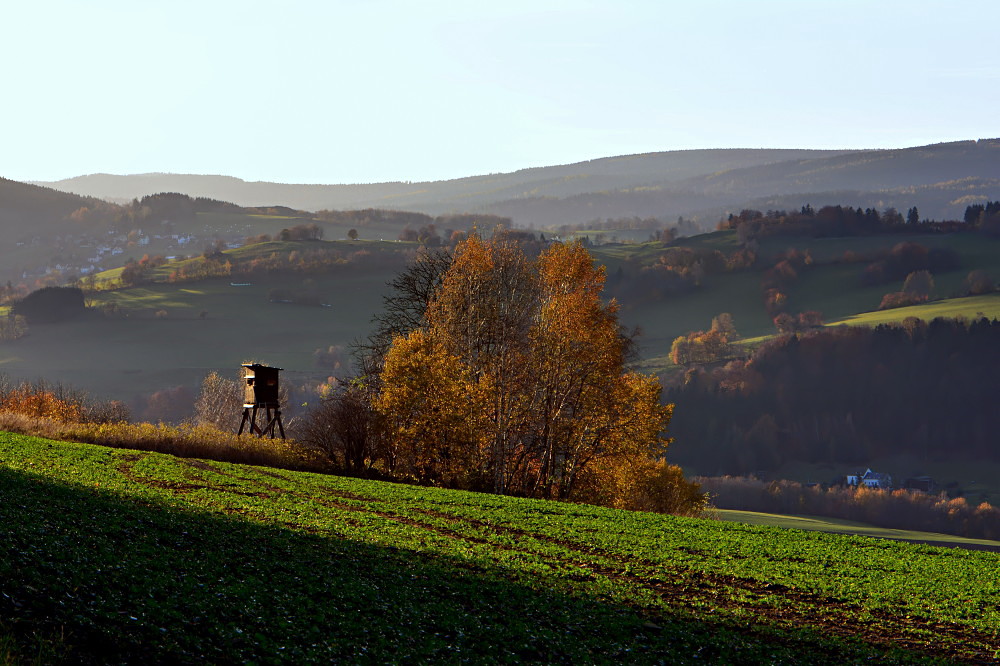 Herbstlicht