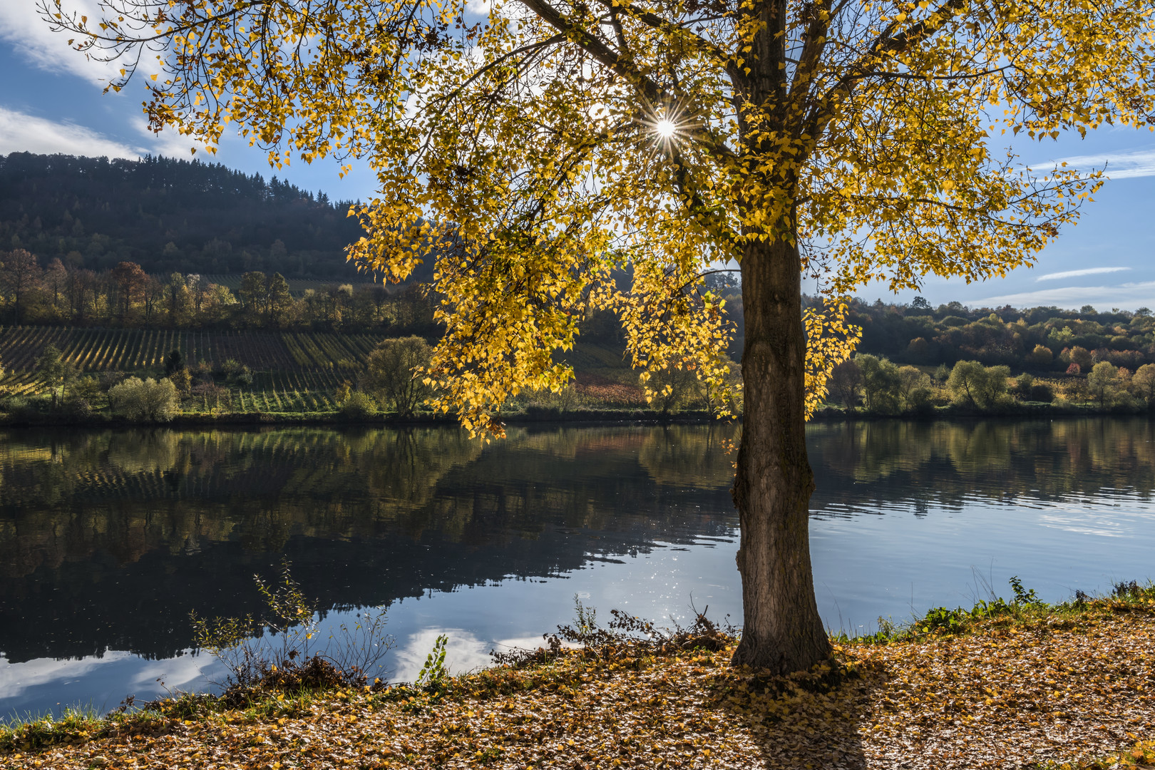 *Herbstlicht*