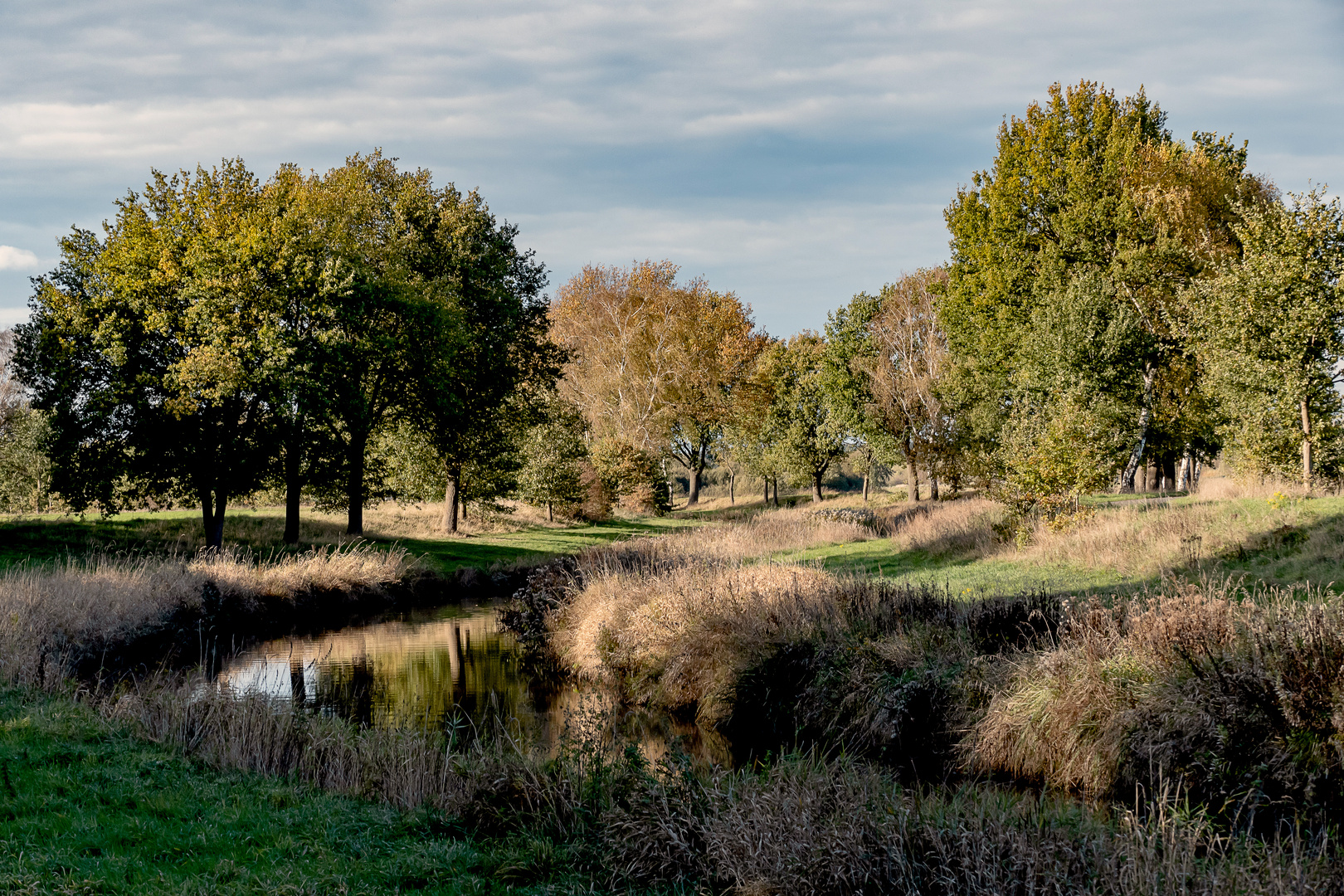 Herbstlicht