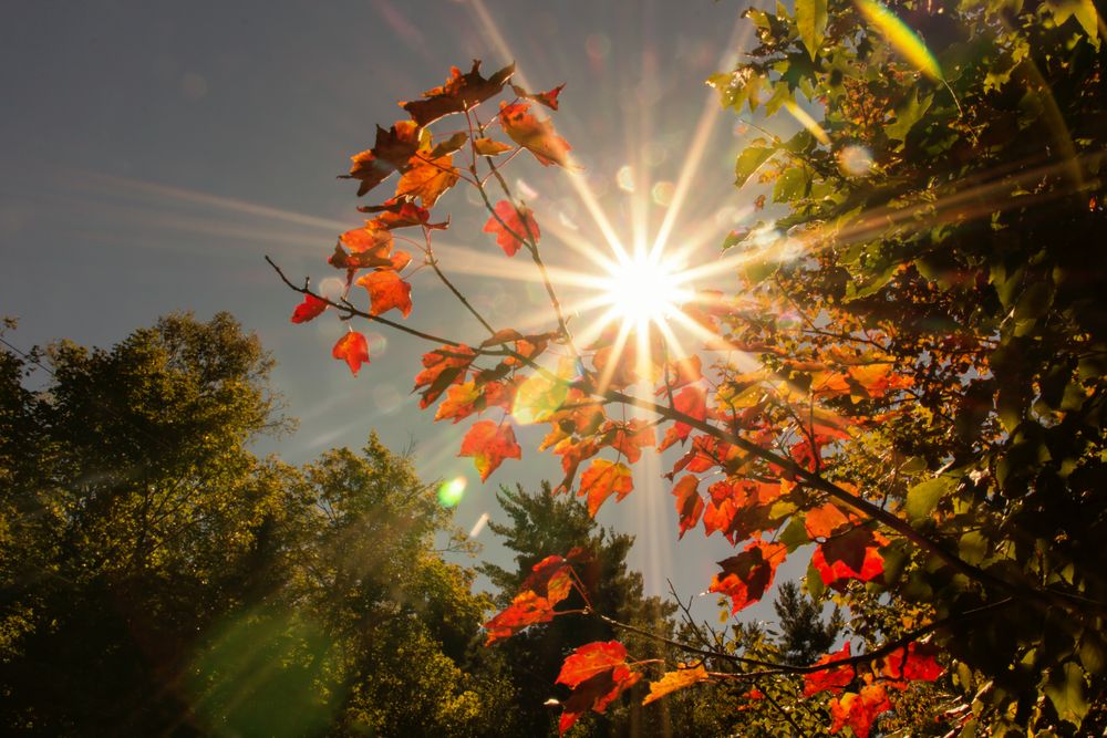 Herbstlicht