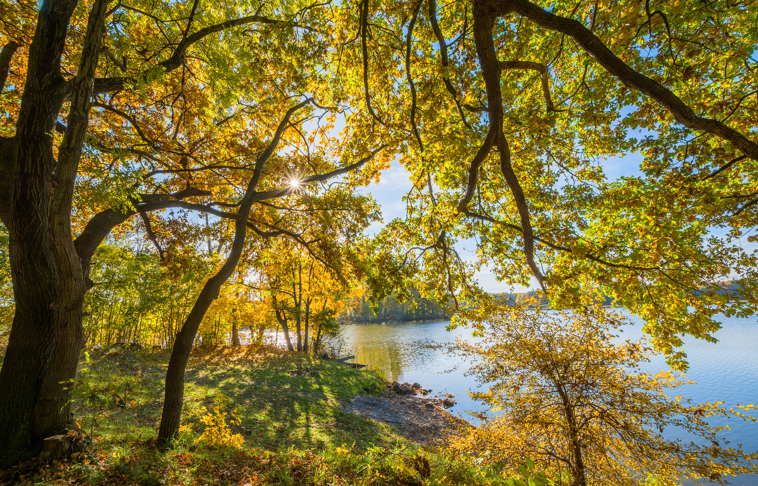 Herbstlicht