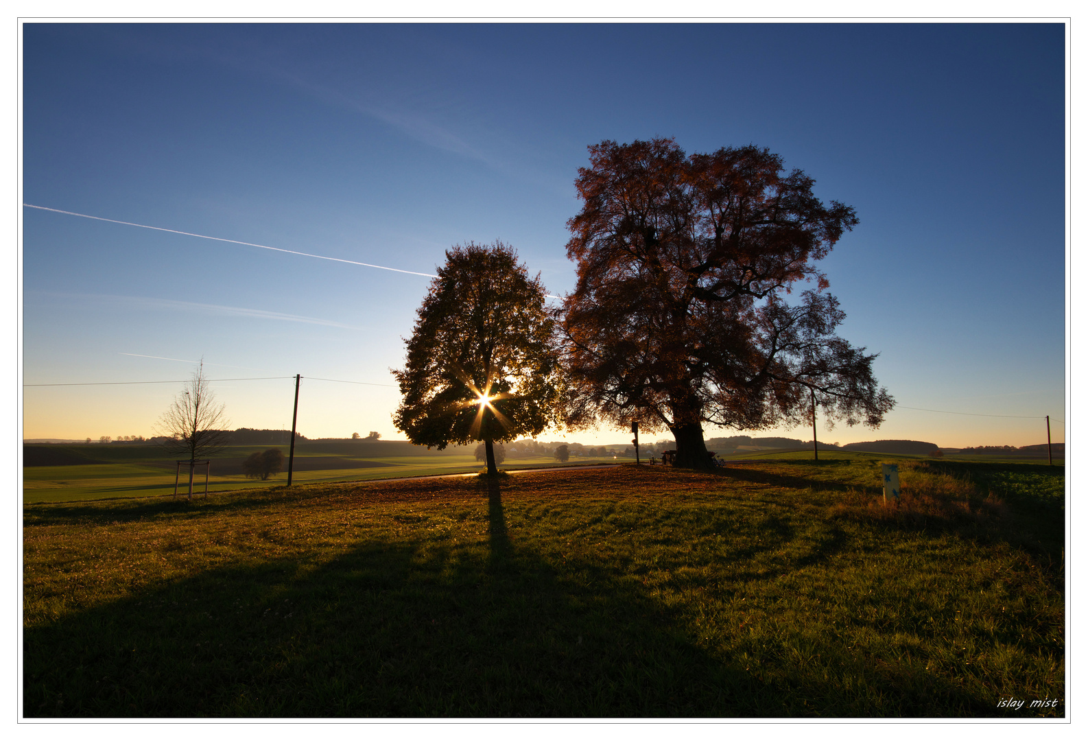 * Herbstlicht *