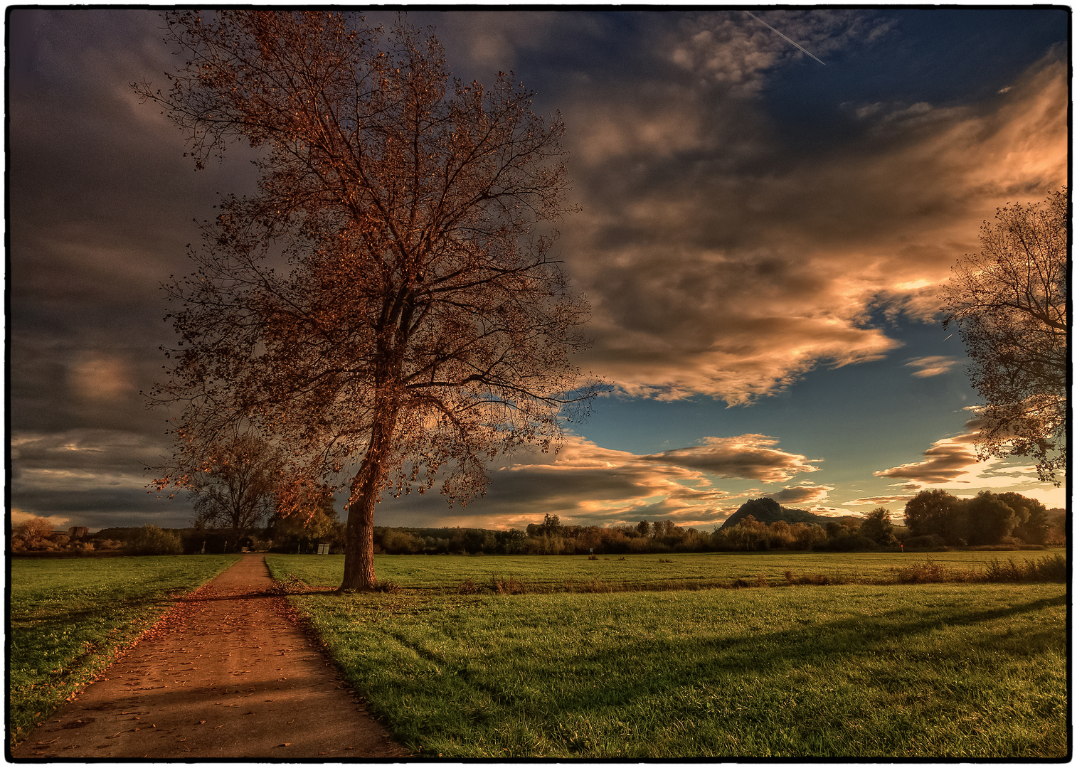 Herbstlicht