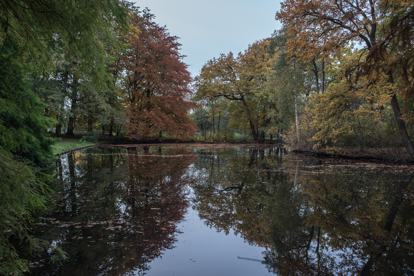 Herbstlicht