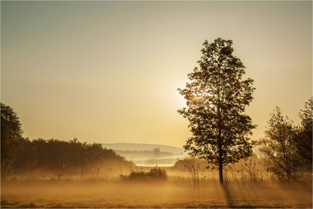 Herbstlicht ...