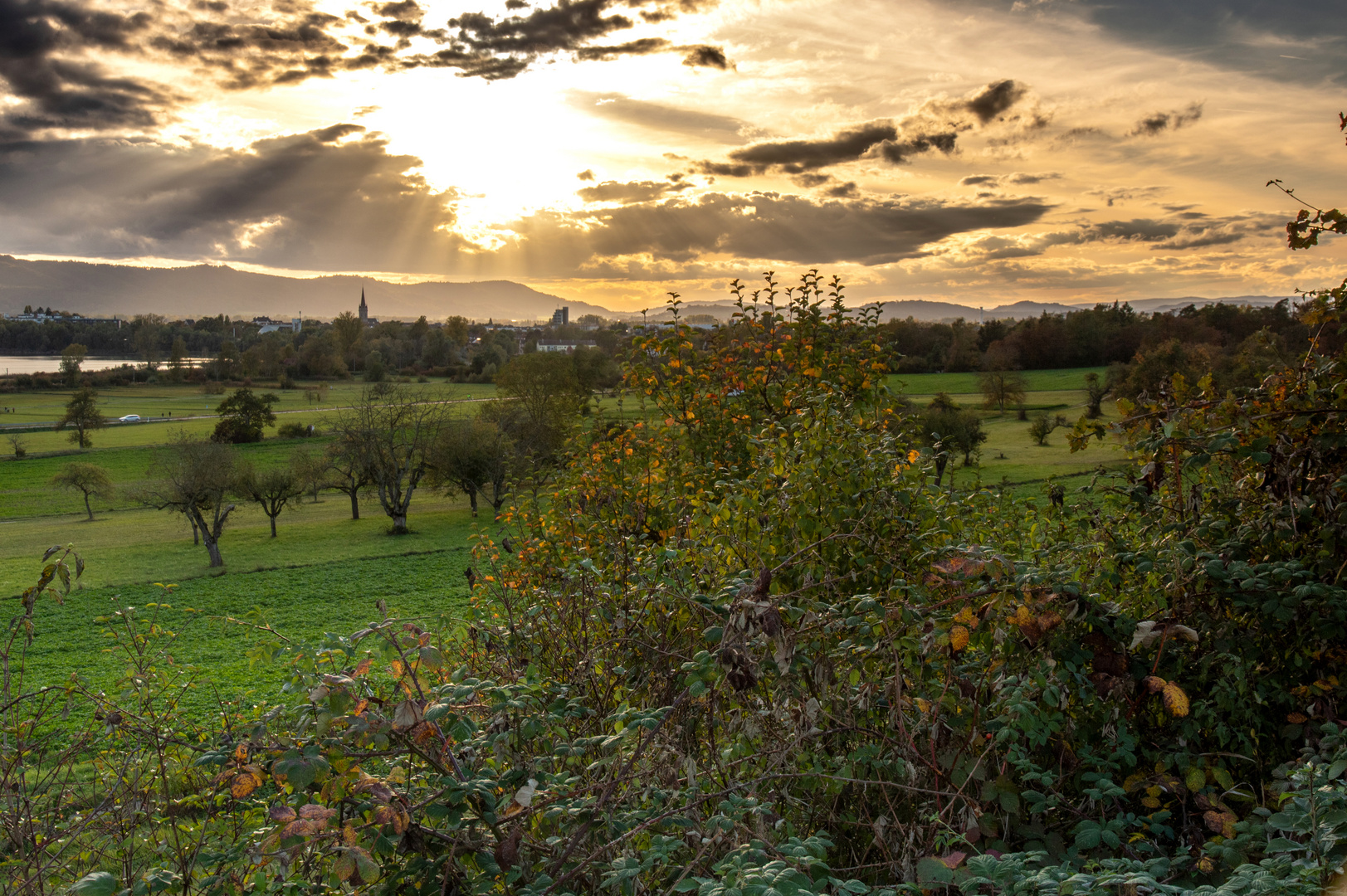 Herbstlicht